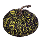 ZUCCA NERA E VERDE 20X13 CM