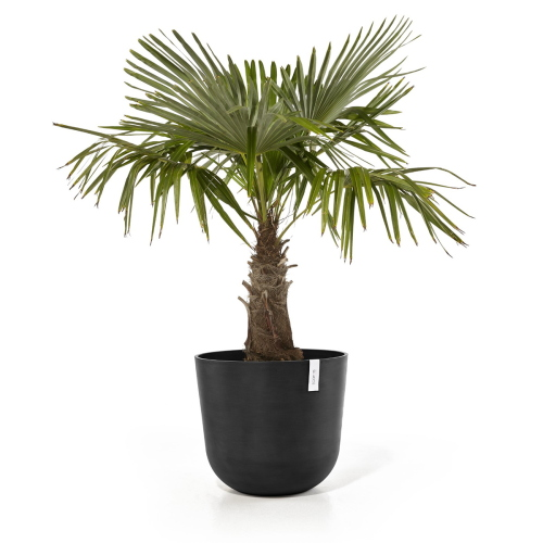 Vaso Rotondo Oslo D55 H47.90 cm Grigio Scuro ECOPOTS