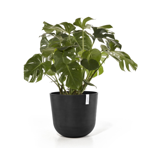 Vaso Rotondo Oslo D55 H47.90 cm Grigio Scuro ECOPOTS
