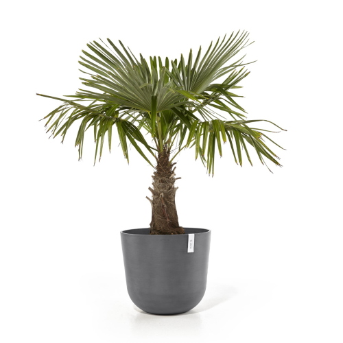 Vaso Rotondo Oslo D55 H47.90 cm Grigio ECOPOTS