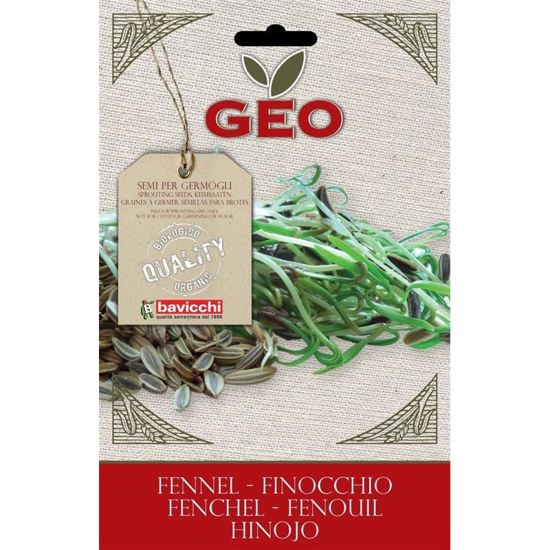SEMI BIOLOGICI GERMOGLI FINOCCHIO ROMANESCO 13GR