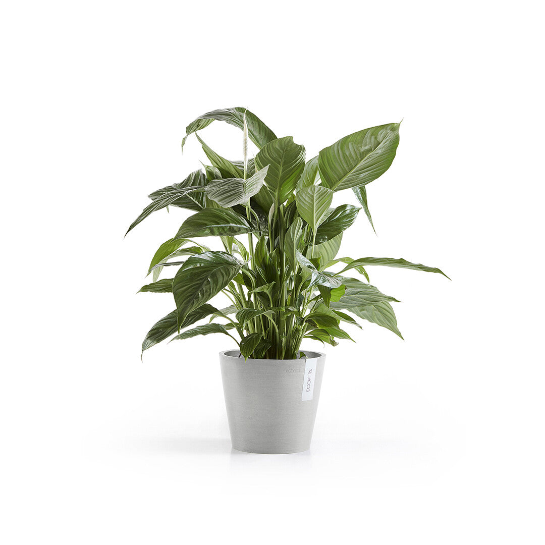 VASO AMSTERDAM 20x17,5CM GRIGIO CHIARO