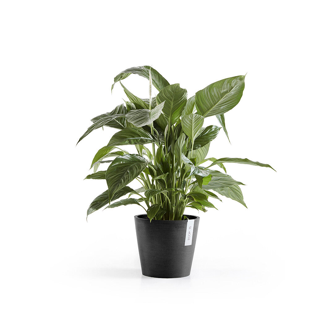 VASO AMSTERDAM 20x17,5CM GRIGIO SCURO