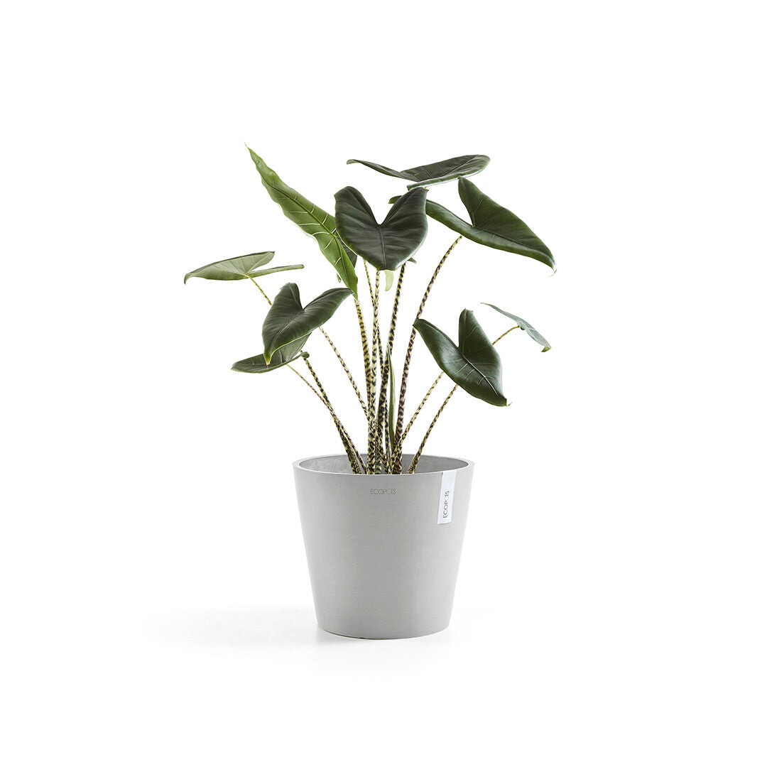 VASO AMSTERDAM 30x26,5CM GRIGIO CHIARO