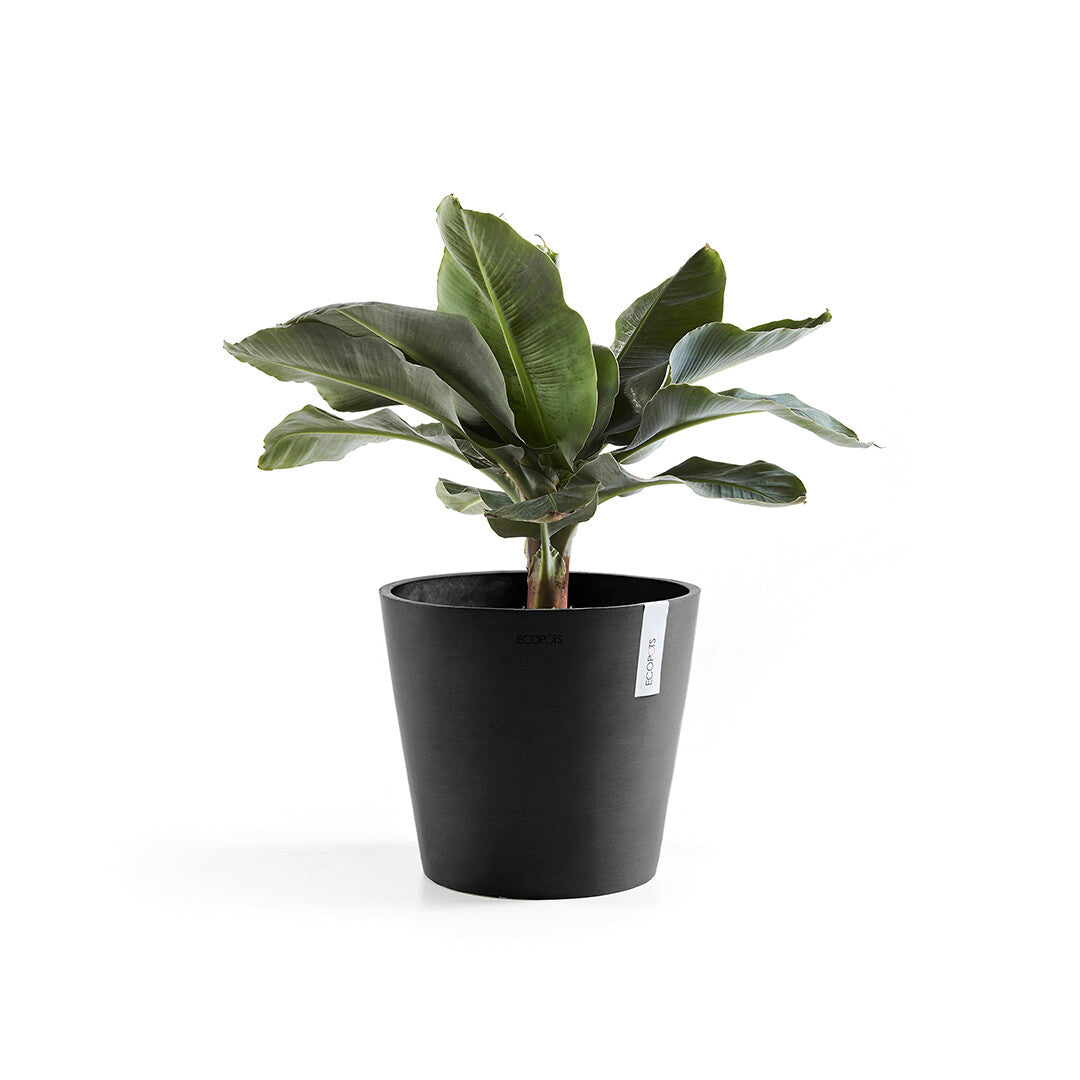 VASO AMSTERDAM 40x36CM GRIGIO SCURO
