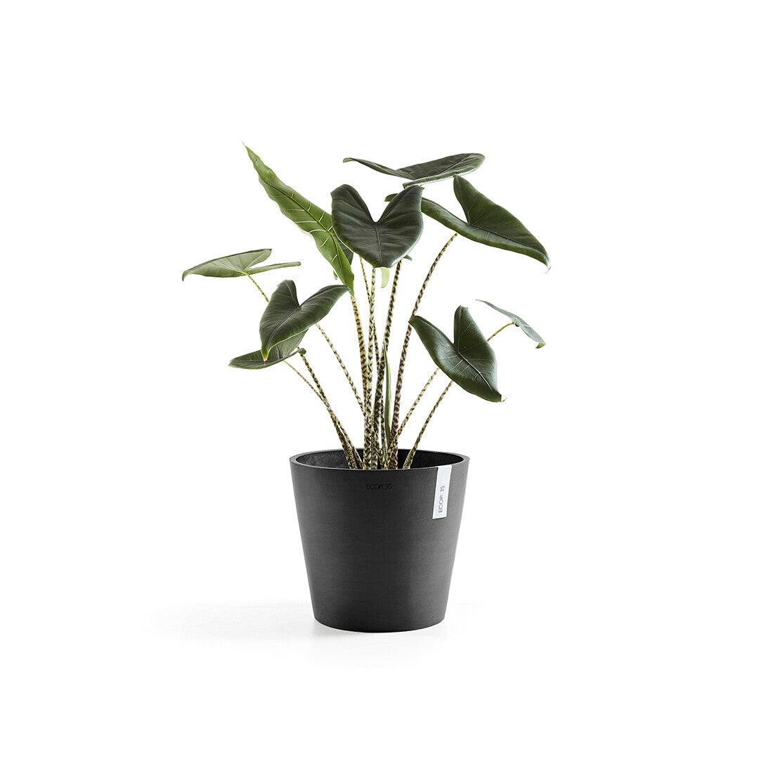 VASO AMSTERDAM 30x26,5CM GRIGIO SCURO