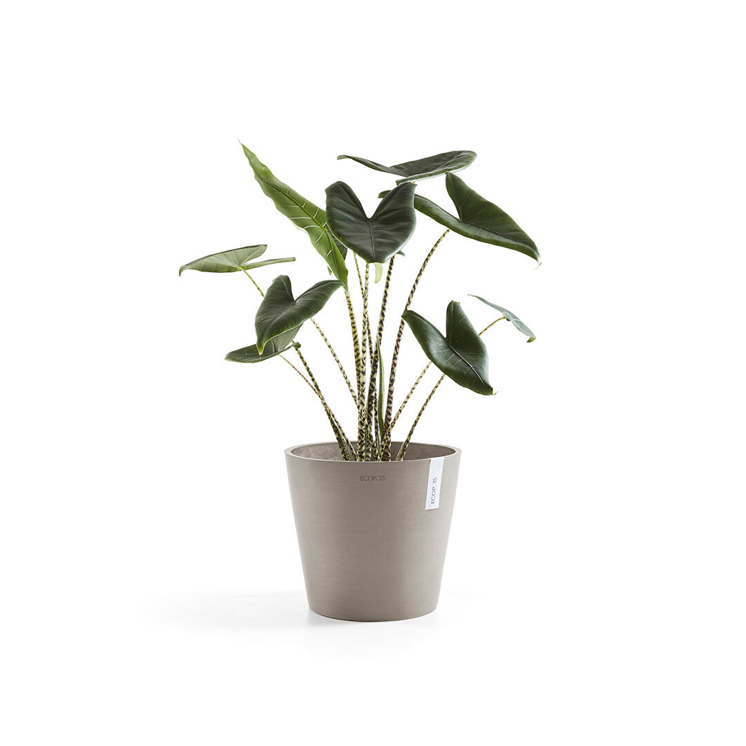 VASO AMSTERDAM 30x26,5CM TALPA
