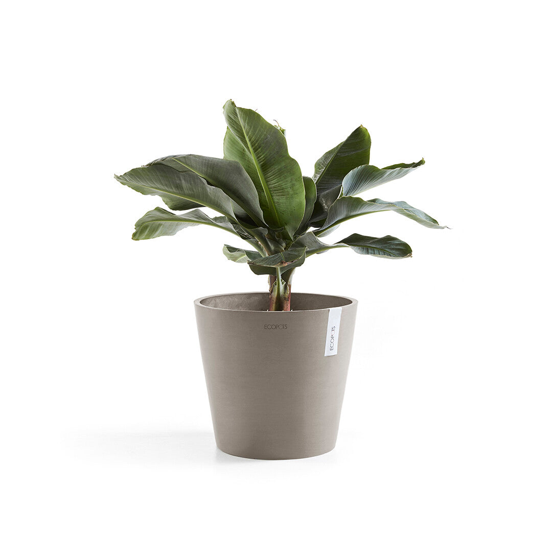 VASO AMSTERDAM 40x36CM TALPA