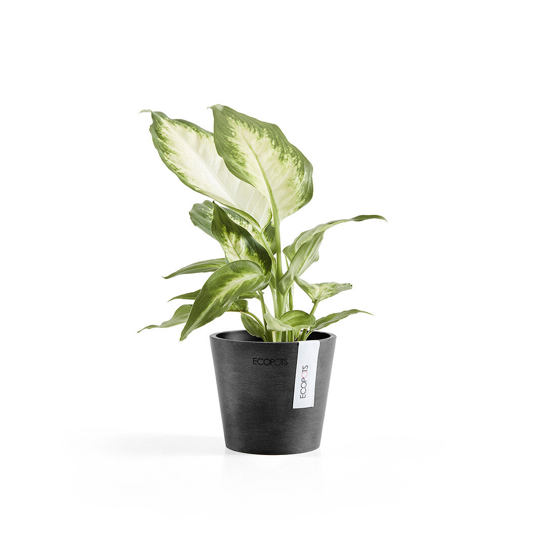 VASO AMSTERDAM MINI D10,5x9,2CM GRIGIO SCURO
