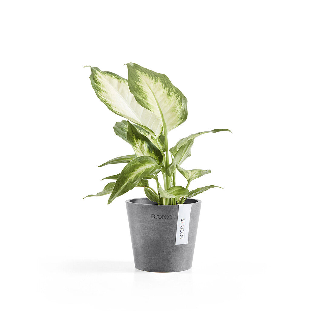 VASO AMSTERDAM MINI D10,5x9,2CM GRIGIO
