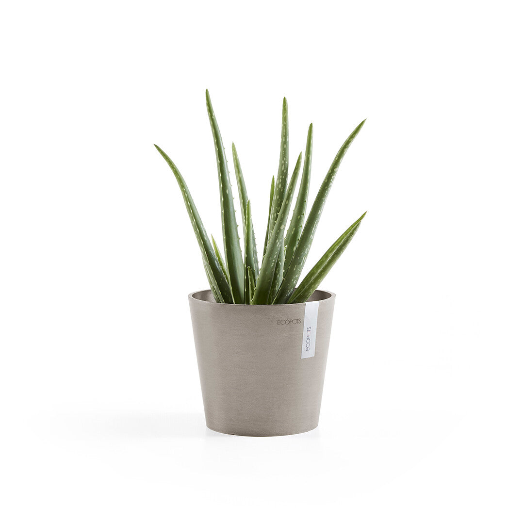 VASO AMSTERDAM MINI D17x14,9CM TALPA