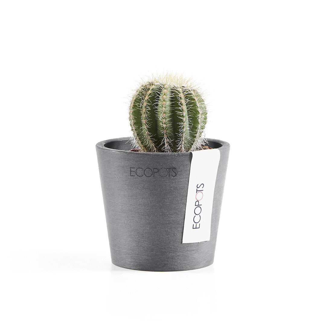VASO AMSTERDAM MINI D8x7CM GRIGIO