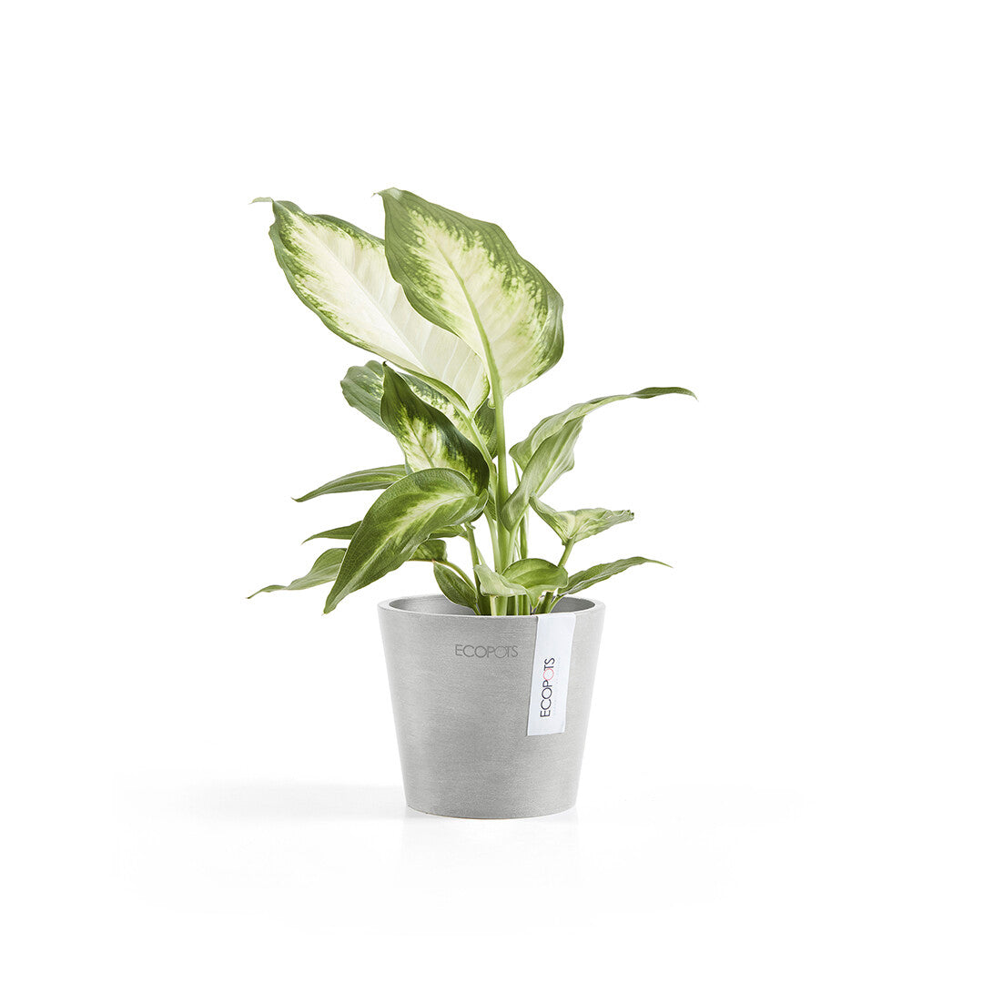 VASO AMSTERDAM MINI D10,5x9,2CM GRIGIO CHIARO