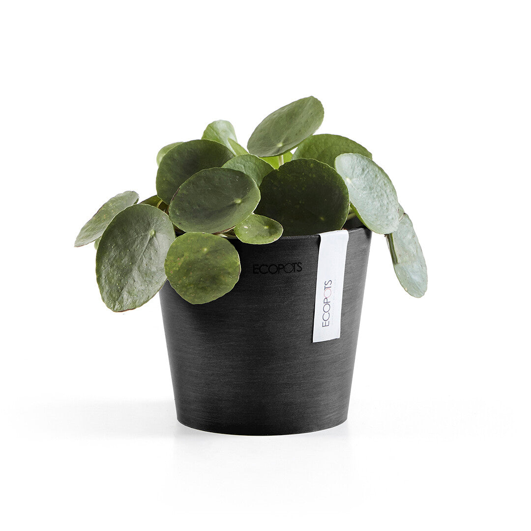 VASO AMSTERDAM MINI D13x11,4CM GRIGIO SCURO