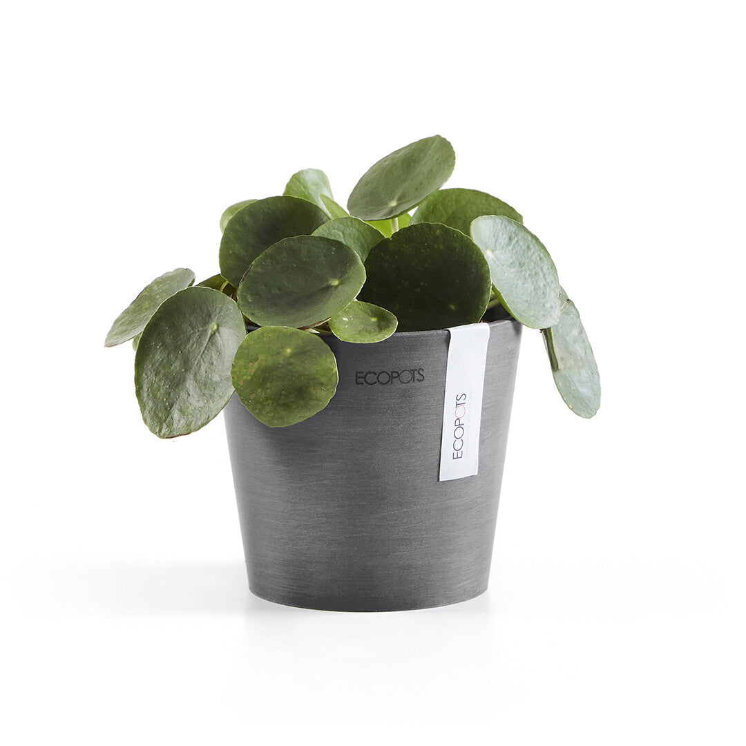 VASO AMSTERDAM MINI D13x11,4CM GRIGIO