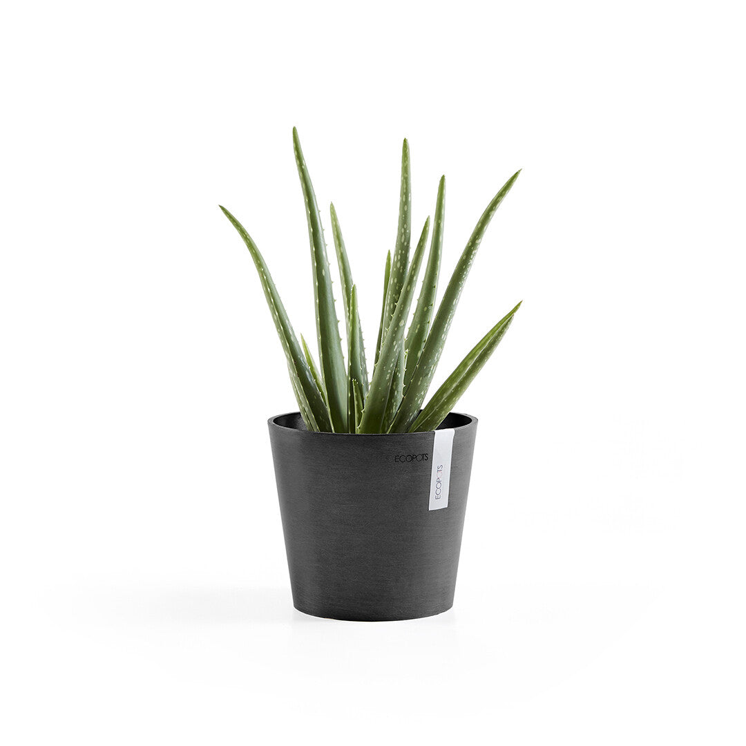 VASO AMSTERDAM MINI D17x14,9CM GRIGIO SCURO