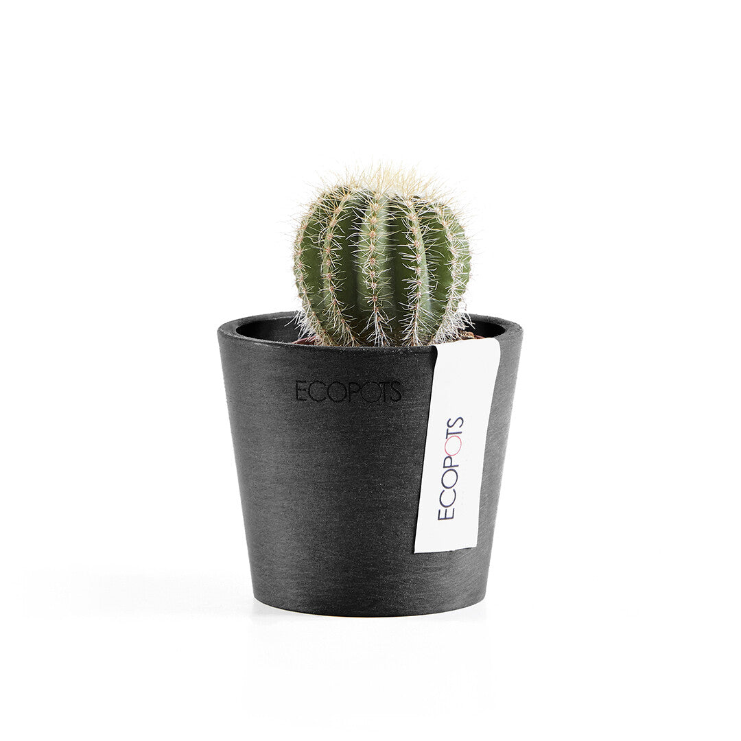 VASO AMSTERDAM MINI D8x7CM GRIGIO SCURO