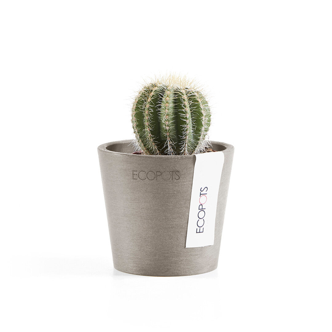 VASO AMSTERDAM MINI D8x7CM TALPA