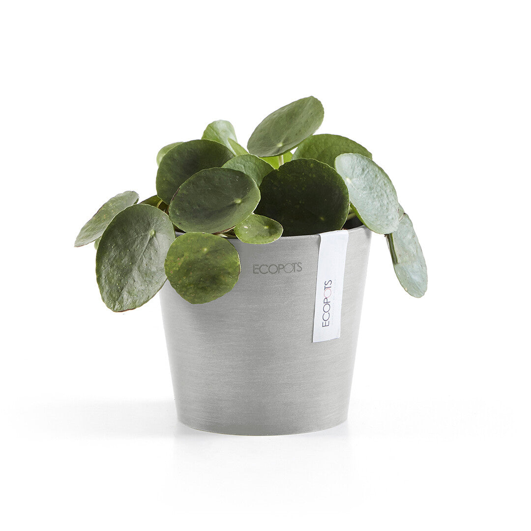 VASO AMSTERDAM MINI D13x11,4CM GRIGIO CHIARO
