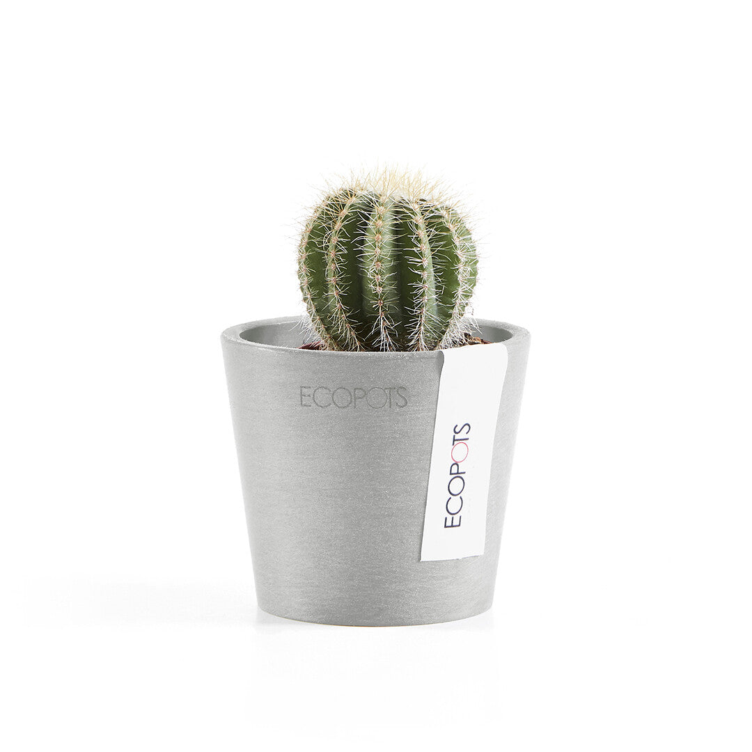 VASO AMSTERDAM MINI D8x7CM GRIGIO CHIARO