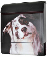 CASSETTA DELLA POSTA SONORA DECORATA PASTORE AUSTRALIANO 45X38X12 CM