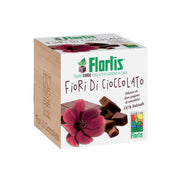 PLANTCUBE FIORI DI CIOCCOLATO 7.5X7.5X7.5 CM