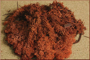 MUSCHIO LICHENE ROSSO BUSTA DA 30GR