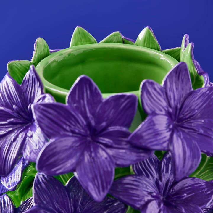 Vaso Verano in Ceramica 26.5 x 35.5 cm Verde e Viola PERAGA HOME