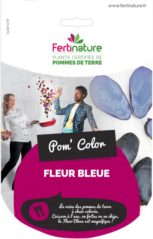 PATATA FLEUR BLEUE DA SEMINARE 25 UNITÀ