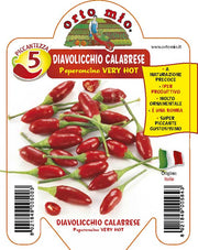 PIANTA DI PEPERONCINO DIAVOLICCHIO CALABRESE (IN VASO Ø 14CM)