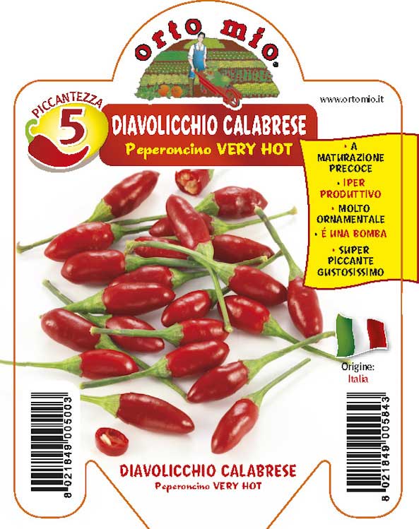 PIANTA DI PEPERONCINO DIAVOLICCHIO CALABRESE (IN VASO Ø 14CM)