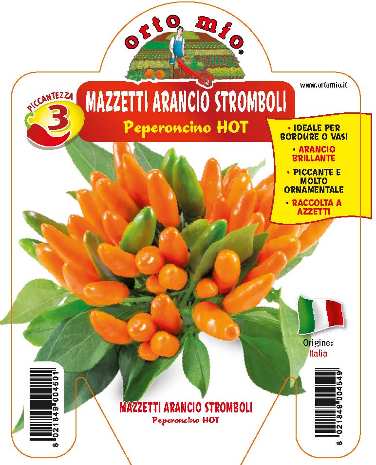 3 PIANTE IN VASO Ø10CM DI PEPERONCINO ARANCIO STROMBOLI