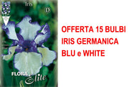 OFFERTA 15 BULBI IRIS GERMANICA BLU E BIANCO