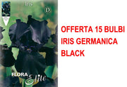 OFFERTA 15 BULBI IRIS GERMANICA NERO