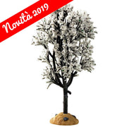 ALBERO INNEVATO - WHITE HAWTHORN TREE