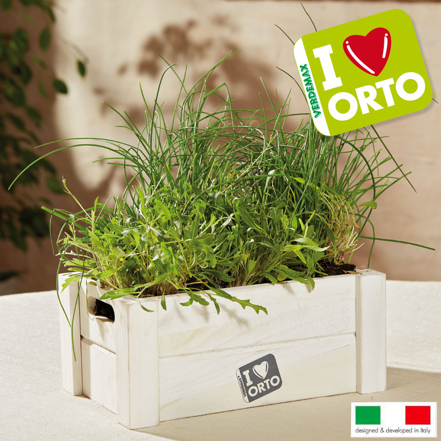 EASY ORTO RUCOLA E ERBA CIPOLLINA