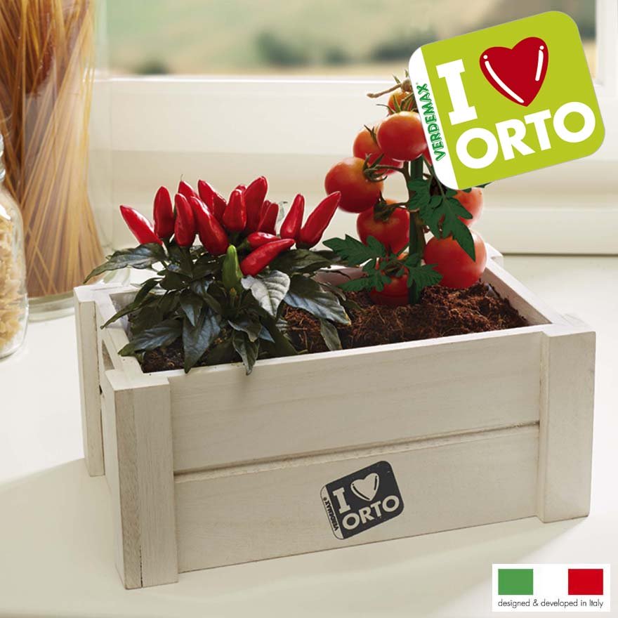 EASY ORTO PEPERONCINO E POMODORINO