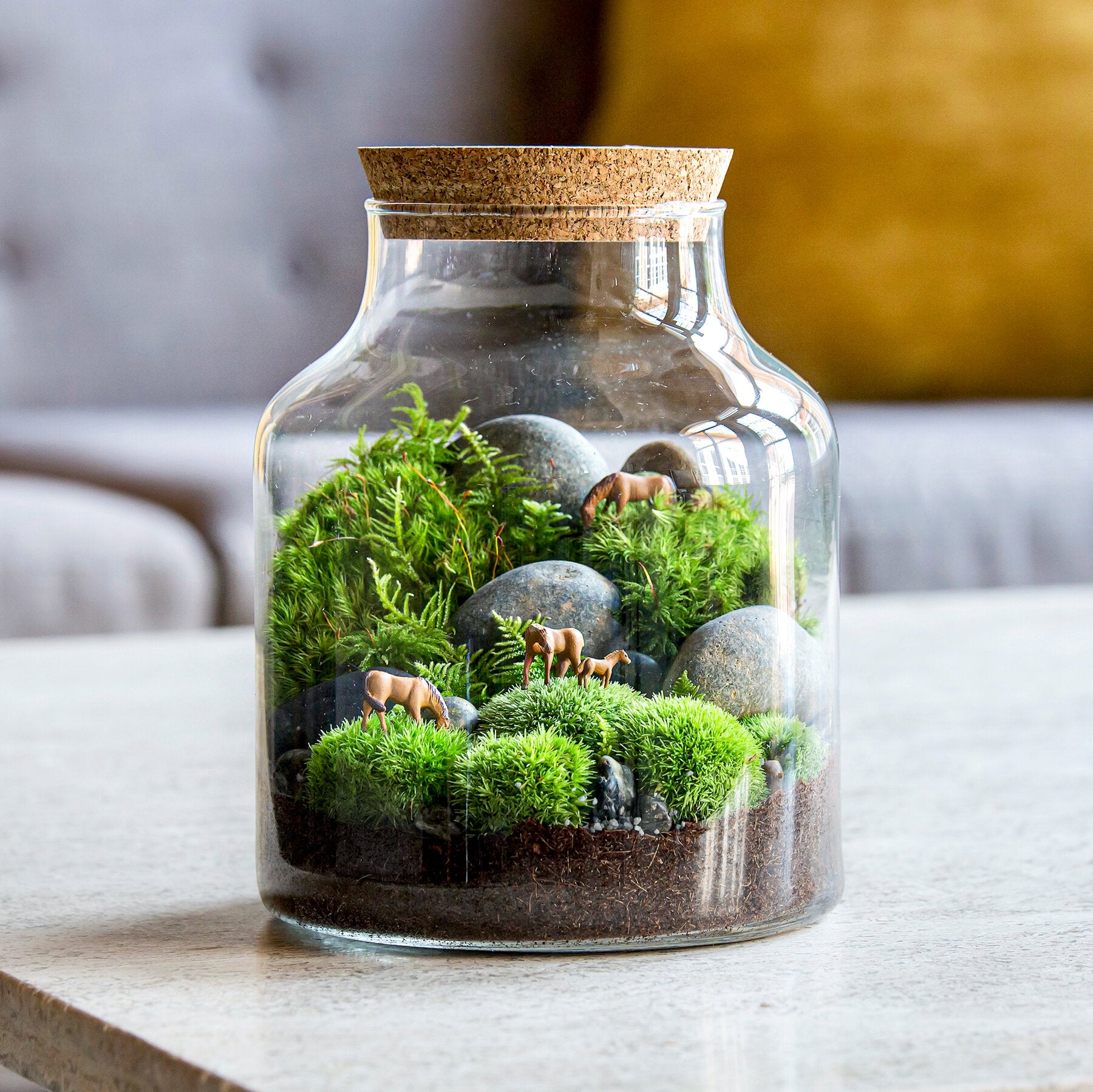 Corso Terrarium + Kokedama - 23 Maggio 2026