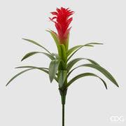 RAMO GUZMANIA H.54 VERDE/ROSSO