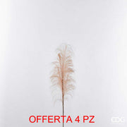 OFFERTA 4 RAMO DI PAMPA MARRONE CAMMELLO 70CM
