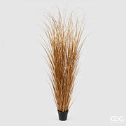 FESTUCA ARTIFICIALE ORO CON VASO H180CM
