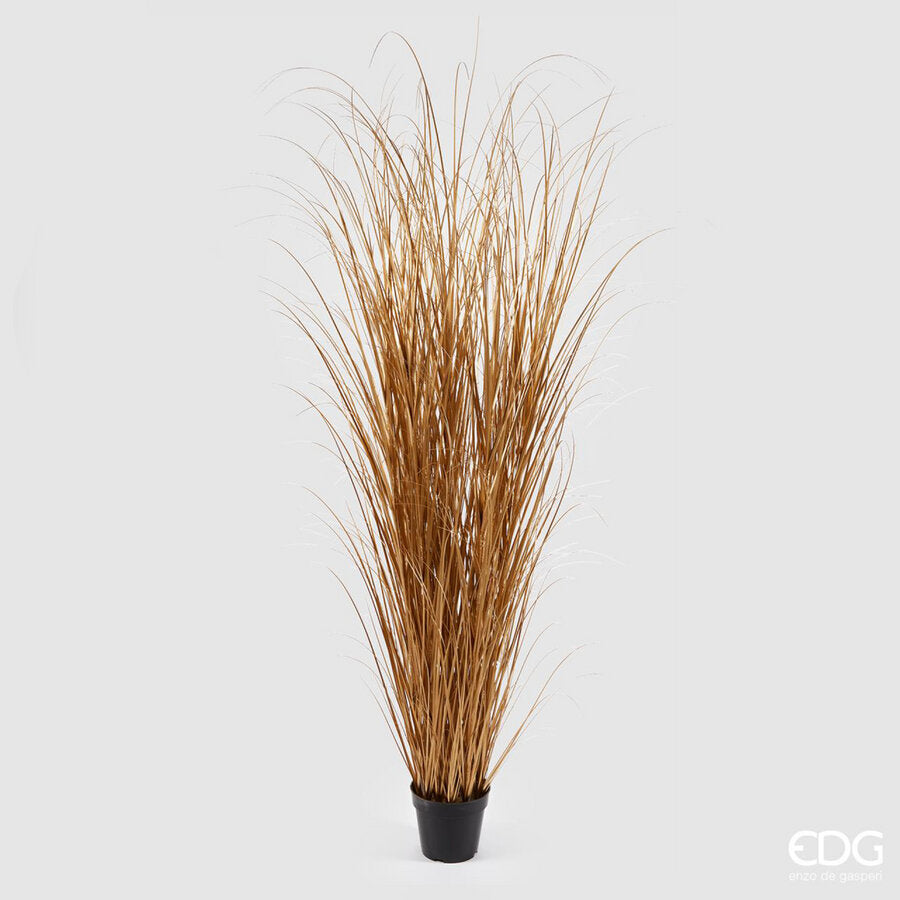 FESTUCA ARTIFICIALE ORO CON VASO H180CM