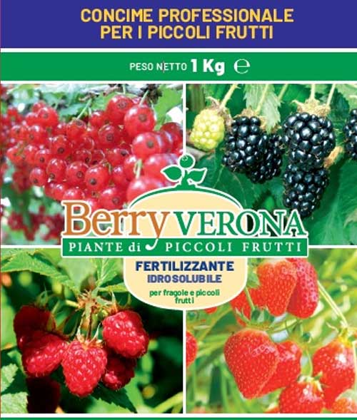 CONCIME PER LAMPONE/MORA/RIBES/FRAGOLA 1KG