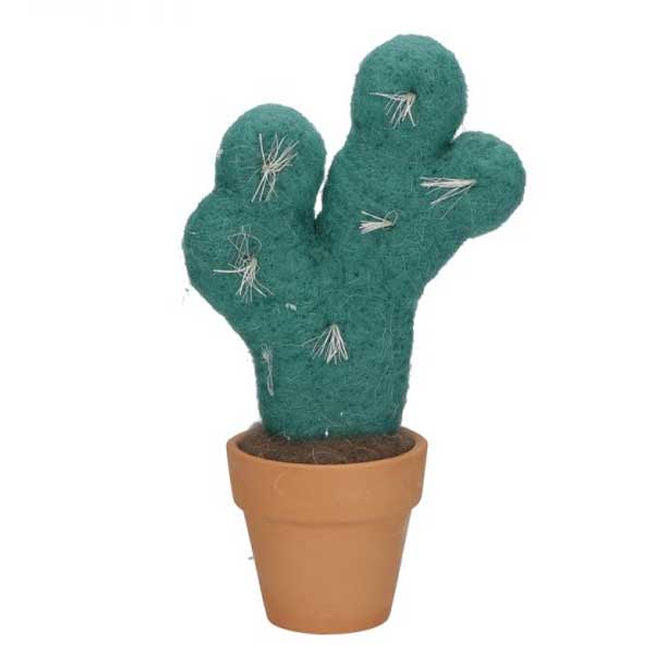 CACTUS IMBOTTITO F NONPUNGO