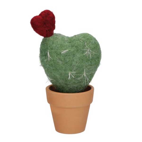 CACTUS IMBOTTITO E NONPUNGO