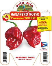 3 PIANTE IN VASO Ø10CM DI PEPERONCINO HABANERO ROSSO