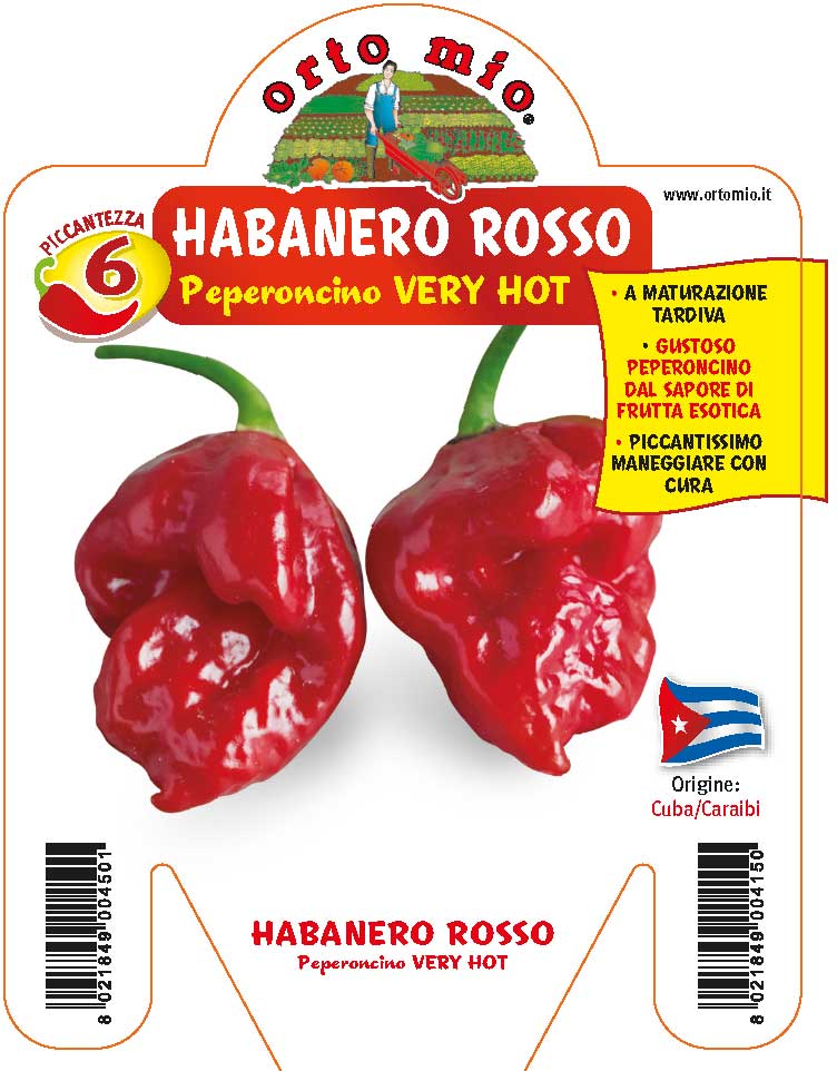 3 PIANTE IN VASO Ø10CM DI PEPERONCINO HABANERO ROSSO