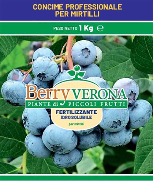 CONCIME PER MIRTILLI 1KG