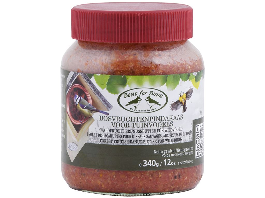 VASETTO BURRO DI ARACHIDI AI FRUTTI DI BOSCO 340 GR