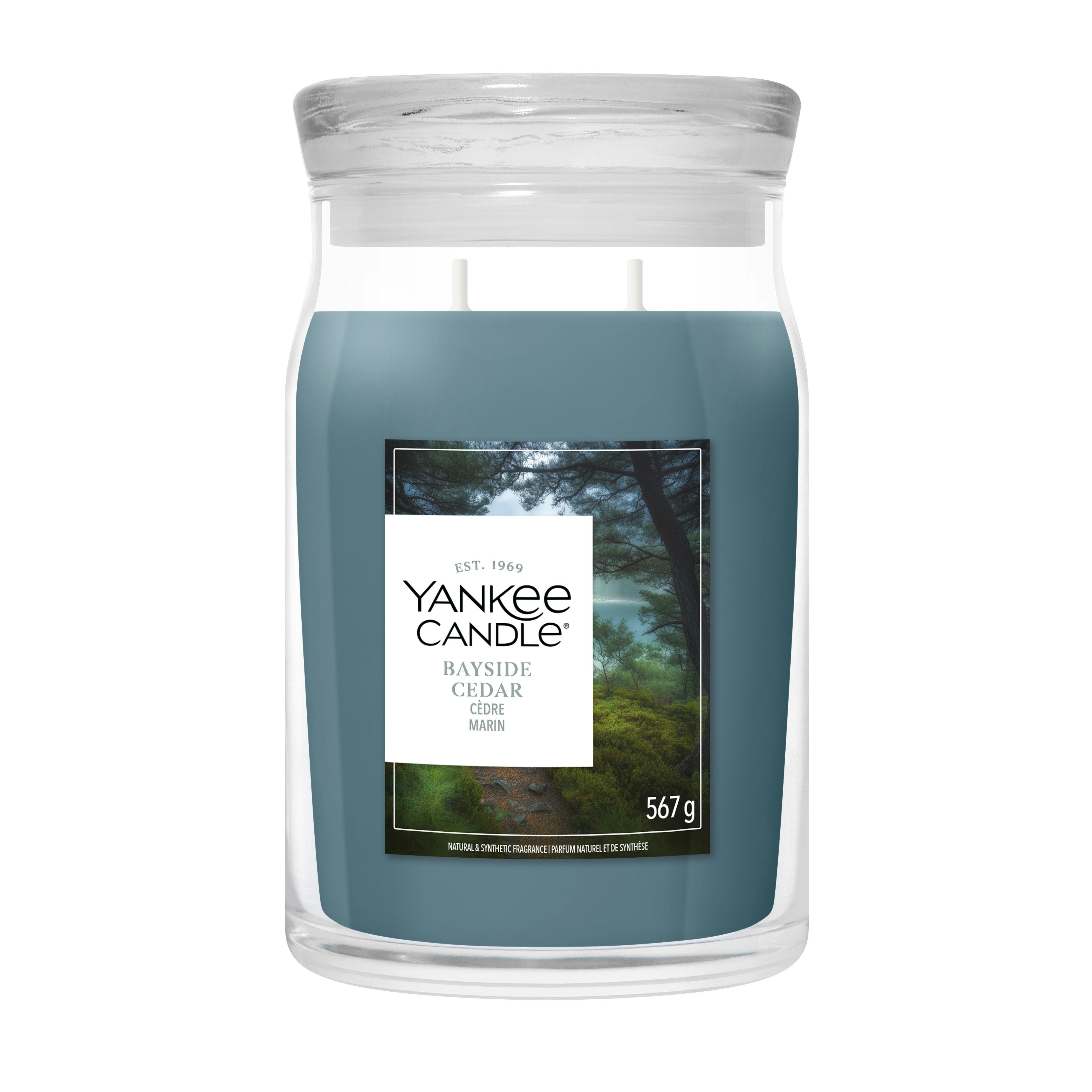 Candela Giara Grande Signature Bayside Cedar 567g Blu Yankee Candle